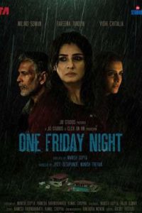 One Friday Night (2023) Hindi DDP5.1 JC WEB-DL Full Movie 480p 720p 1080p