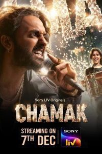 Download Chamak (Season 1-2) Complete Hindi WEB Series 480p 720p 1080p