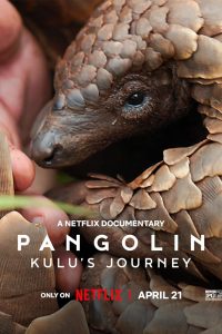 Download Pangolin: Kulu’s Journey (2025) WEB-DL Dual Audio {Hindi-English} Full Movie 480p 720p 1080p